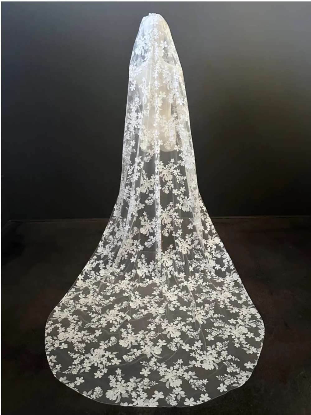 Sara Gabriel Micaela Lace Veil in Natural/Ivory - Picture 3 of 8